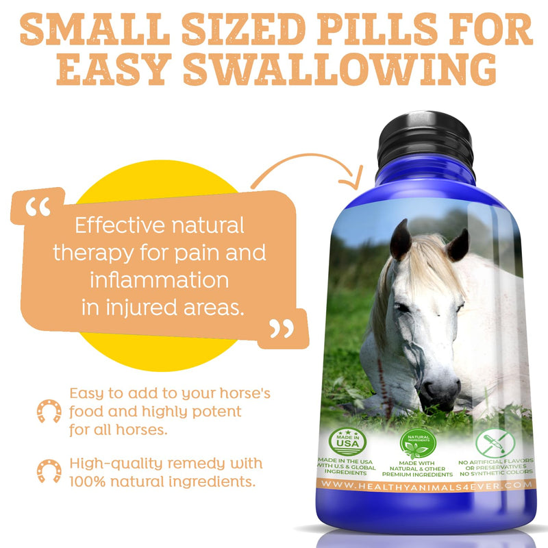 All-Natural Horse Wound Care for Accidents & Injuries - Pellets for Horse First Aid Kit - Homeopathic & Highly Effective - 300 Tablets - BeesActive Australia