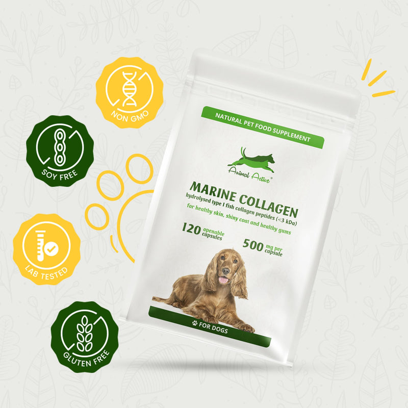 Marine Collagen for Dogs, Supports Dry and Itchy Skin, Shiny Coat & Healthy Gums, Premium Micronised Peptides, Skin Health Dog Supplement, 120 x 500mg Open & Sprinkle Capsules