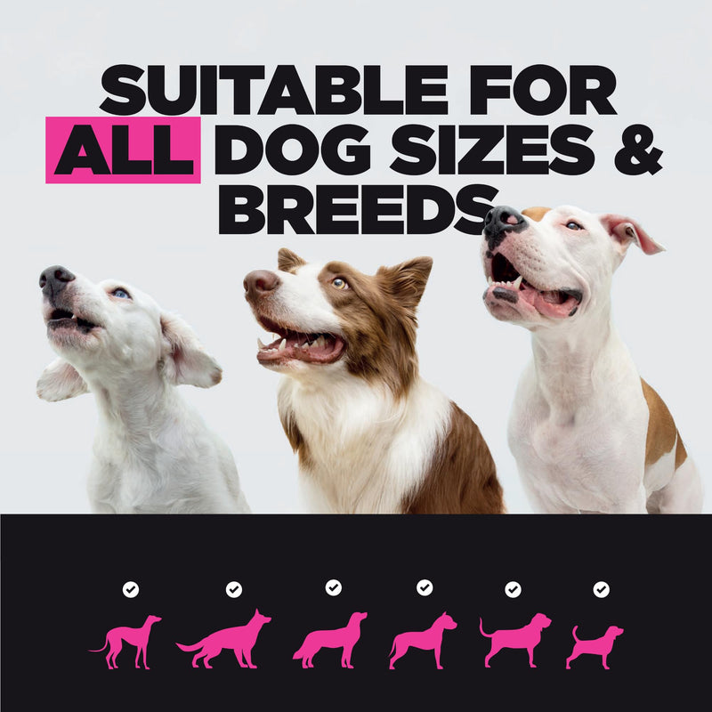 ProDog Muscle+ Dog Weight Gainer - Advanced Nutrition 76% Protein Per Scoop & Omega 3,6,9 - Supplement for Muscle Growth & Recovery, Underweight, Malnourished Dogs (30 Servings) 150g
