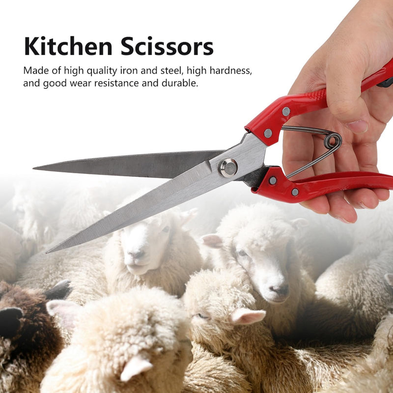 Hztyyier hand scissors cattle, horse, wool, rabbit hair, mane scissors, horse, sheep, goat hair, scissors, wool scissors for hand scissor cutting - BeesActive Australia