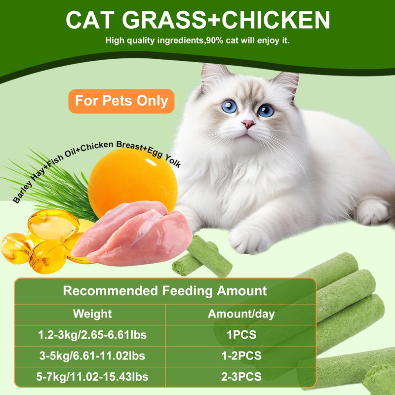 110g Cat Grass Sticks for Indoor Cats, Natural Freeze-Dried Treats, Hairball Treatment, Edible Chew Toy Snack for Teething & Hairball Removal 3.88 Ounce (Pack of 1)