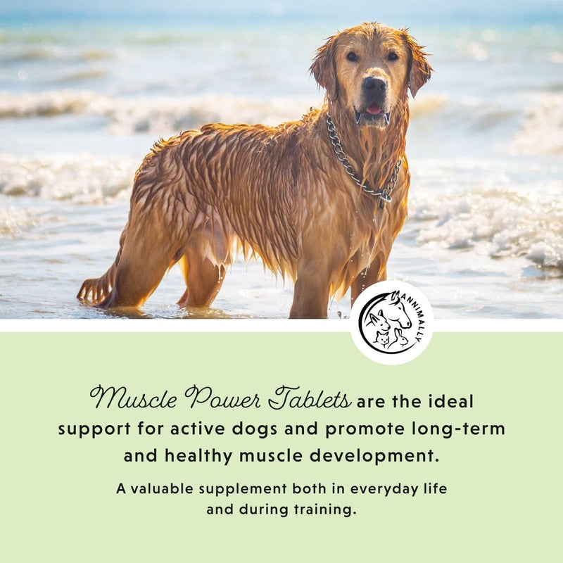 Annimally Muscle Power Tablets for Dogs 120 pcs. - Daily Supplement with Pea Protein & Siberian Ginseng for Active Dogs, Made in Germany