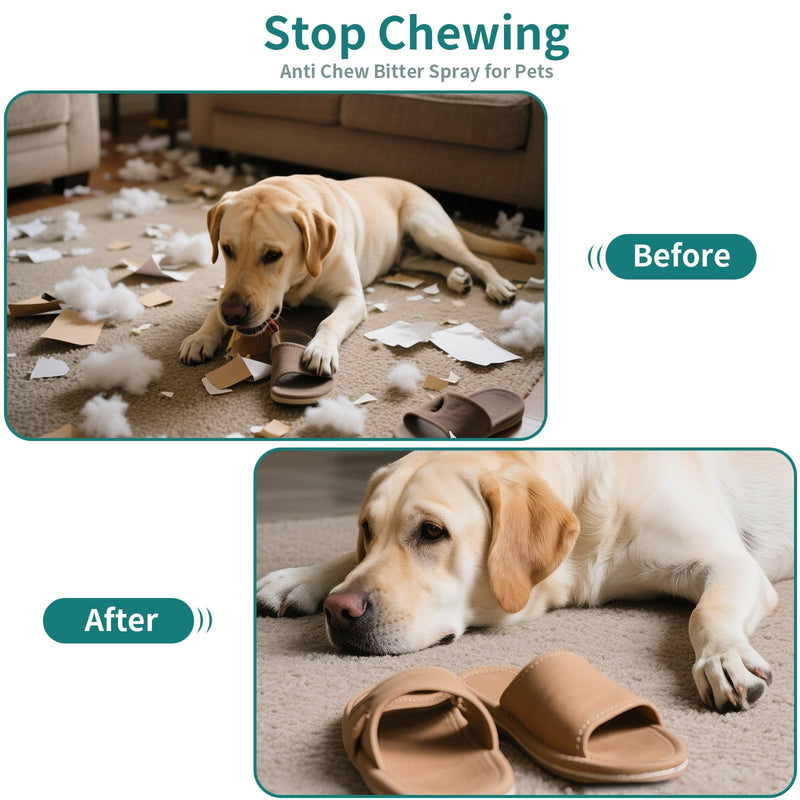Bitter Apple Spray for Dogs - No Chew Spray for Dogs | Safe, Non-Toxic Chewing Deterrent | Stop Licking, Biting & Destructive Behavior | Training Aid (200ml) 1