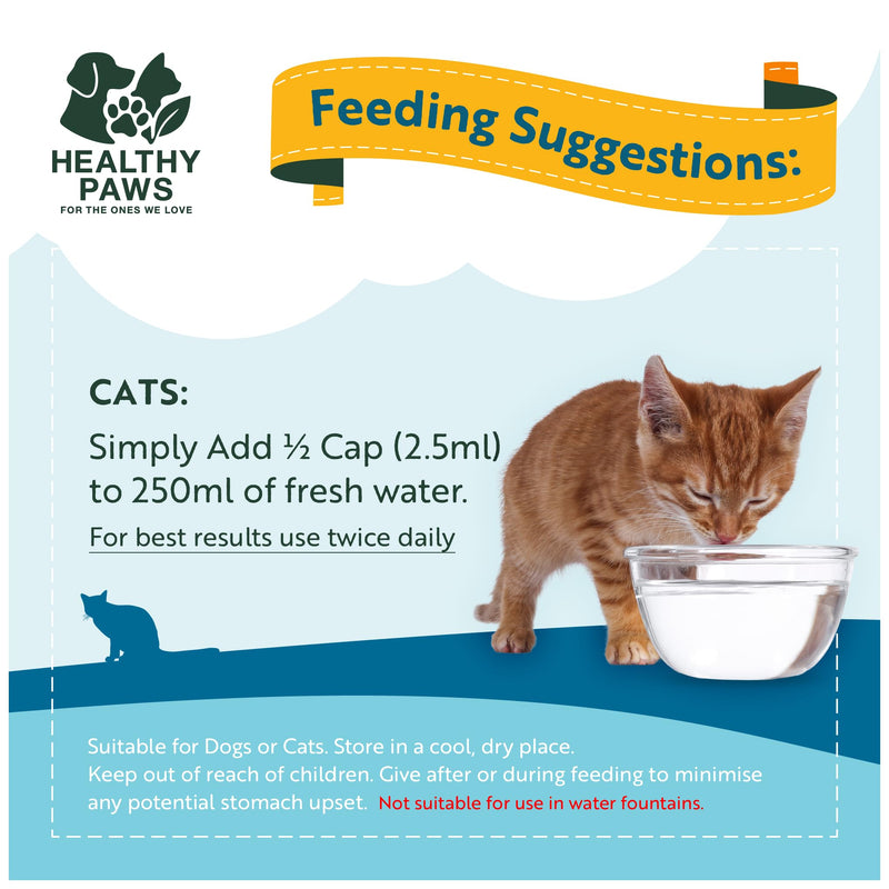 Healthy Paws Dental Water Additive for Dogs & Cats - Supports Clean Teeth, Fresh Breath & Healthy Gums - Plaque & Tartar Control - No Brushing Needed