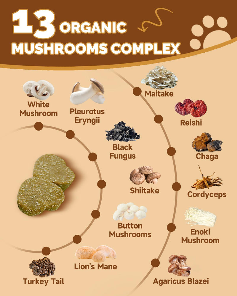 9 in 1 Mushroom Supplement for Dogs - Digestive, Cellular, Immune Health Support, Mushroom Immune Dog Chews Turkey Tail Mushroom for Dogs - Gut, Skin, Joint, Immune Health- Dog Lumps & Bumps
