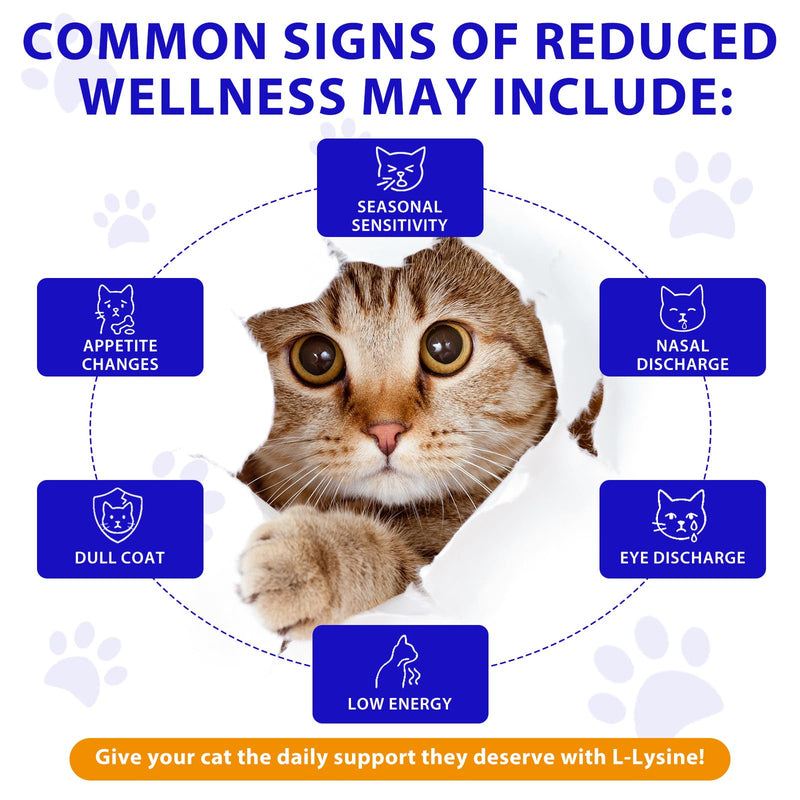 L-Lysine for Cats, Cat Lysine Drops, Immune Support - Sneezing, Cold, Runny Nose, Feline Respiratory, 60ml for Kittens