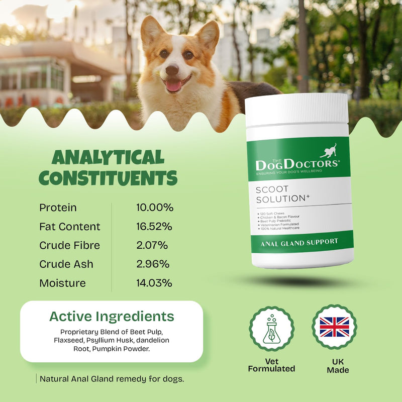 The Dog Doctors Scoot Solutions 120 Soft Chews – Digestive Chews for Dogs – Fibre Blend Soft Chews for Digestive Health, Gut Balance & Dog Anal Gland Support 120 count (Pack of 1)
