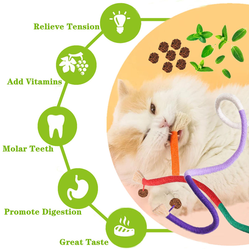 Cat Toys 12PCS Catnip Toy for Indoor Kitten Toys Cat Chew Stick for Dental Cleaning Teeth Cat Silvervine Rope Treat Kitty Feather Snack for for Kick Molar Scratch Self Play Interactive Boredom Pro-12PACK MIX - BeesActive Australia