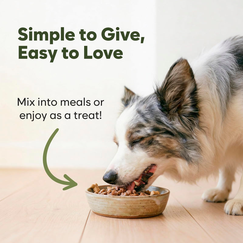 Turkey Tail Mushroom for Dogs - 150 Soft Chews - with Turkey Tail, Lion’s Mane, Chaga, Reishi & Shiitake - Immune Support & Cognitive Health Mushroom Supplement for Dogs