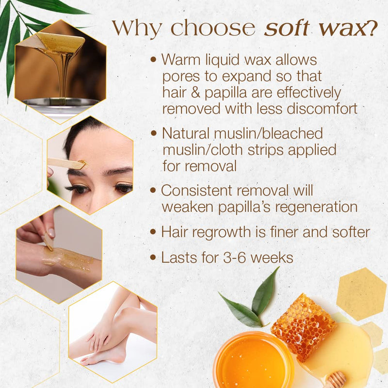 GiGi All Purpose Honee Hair Removal Soft Wax for All Skin and Hair Types, 14 oz 14 Ounce (Pack of 1) - BeesActive Australia