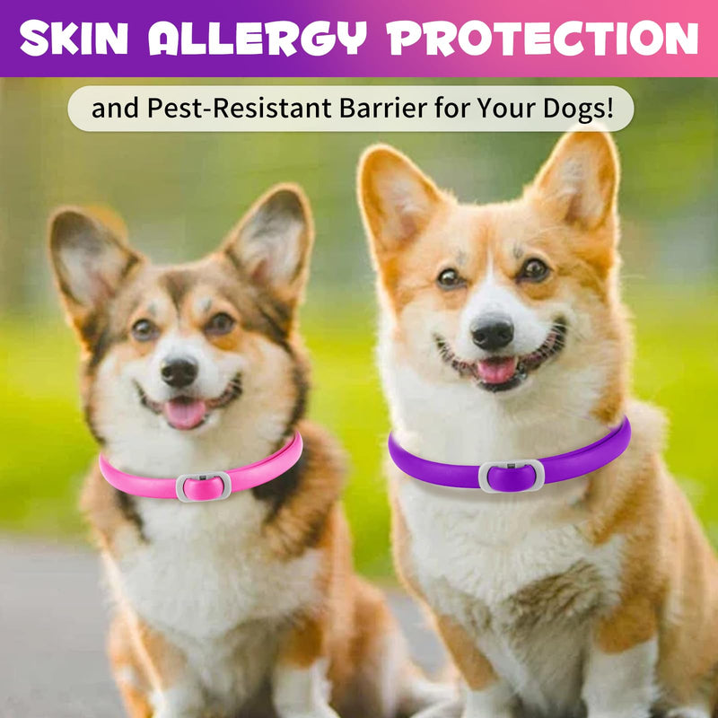 Tick Collar for Dogs Pack of 4, Flea Collar for Dogs, Adjustable and Waterproof, Safe and Natural, 60 cm Length, 24 Months Protection, for Small, Medium and Large Dogs (Pink & Purple) - BeesActive Australia