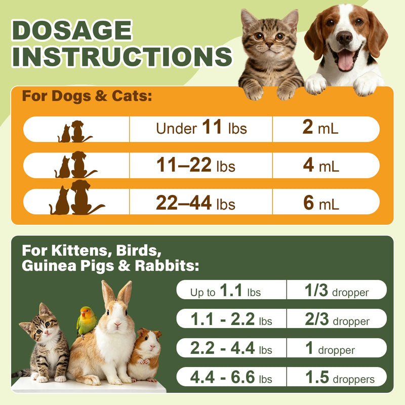 Pet Digestive Supplement, Healthy Stool Support Drops for Dogs, Cats, Birds, Guinea Pigs & Rabbits, Natural Herbs Liquid for Gut Health, Stool Consistency & Sensitive Stomach - 1 oz