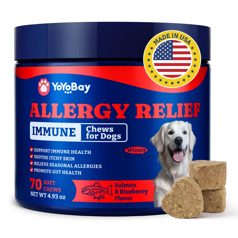 Dog Allergy Relief Chews – 70 Soft Chews, Salmon & Blueberry Flavor - Immune Support & Itch Relief with Colostrum, Astragalus Root, 6-Strain Gut Health Blend 70 Count (Pack of 1)