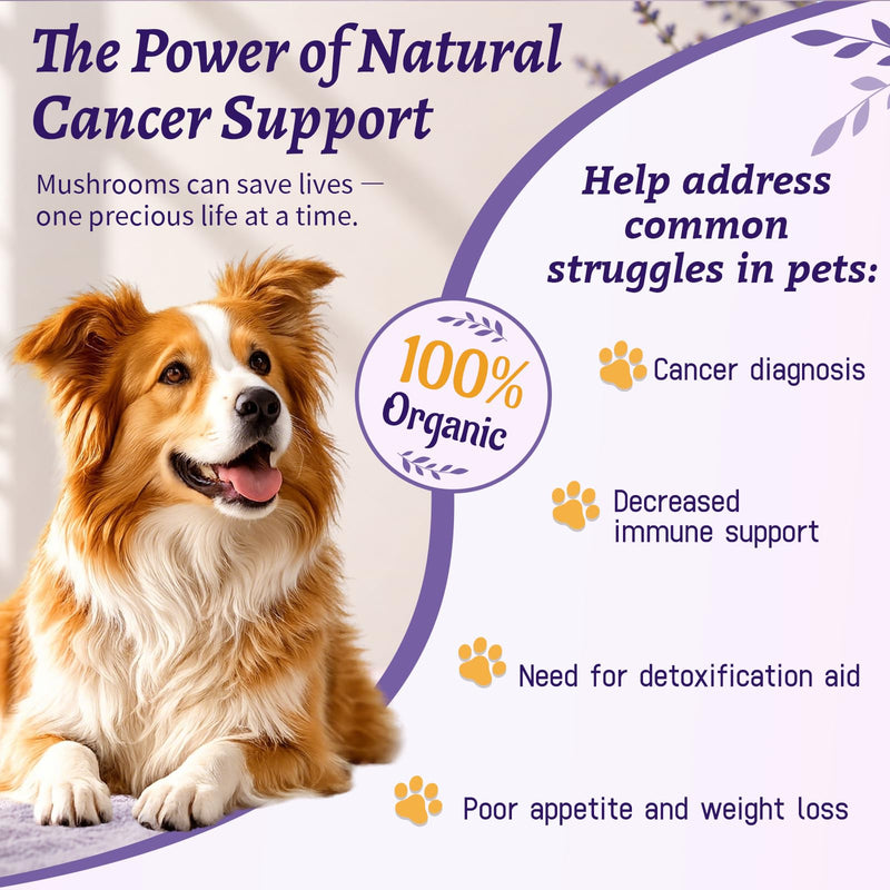 Dog Cancer Supplement 4 oz - Dog Cancer Care and Lumps & Bumps Support, 7 Organic Turkey Tail Mushroom Blend with Turmeric for Dog for Hemangiosarcoma, Hemoabdomen, Cancer & Vascular Support