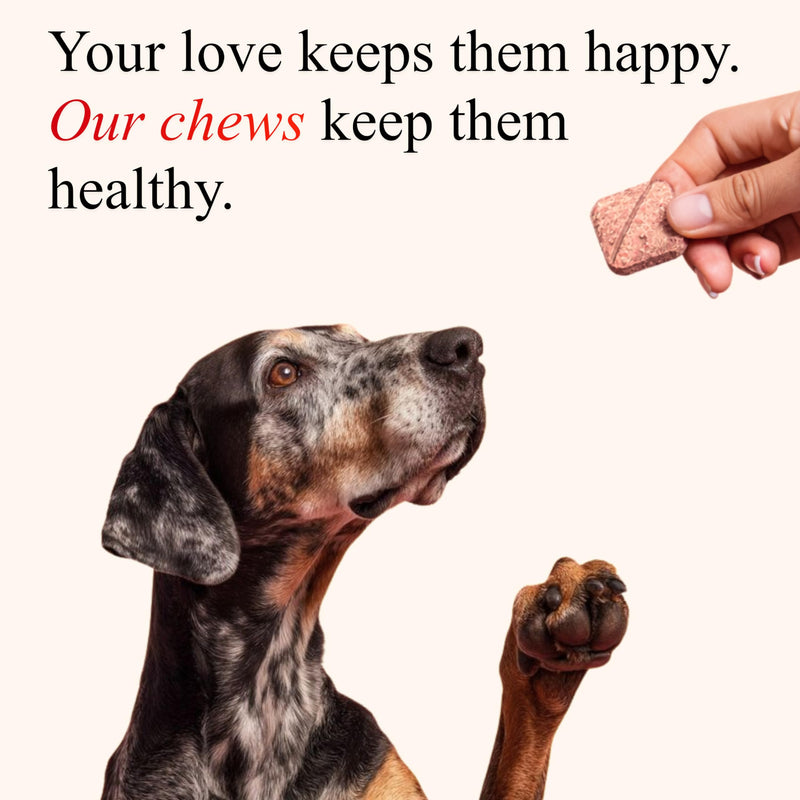 Cranberry Chews for Dogs – UTI Support & Bladder Support – Cranberry Supplement for Dogs – Dog Kidney Support – Urinary Tract & Bladder Control (30 Soft Chews) 30 Soft Chews