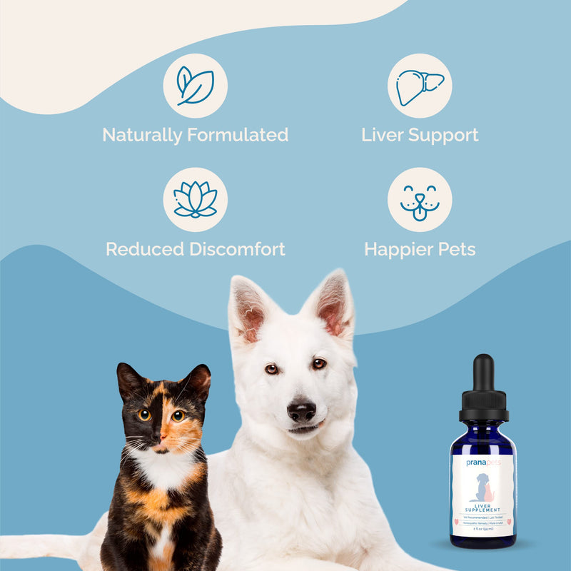 PranaPets Liver Supplement for Pets Naturally Aids in Healthy Liver Function for Dogs & Cats | Herbal Formula Helps Relieve Abdominal Pain, Indigestion & Inflammation of Liver & Gallbladder - PawsPlanet Australia