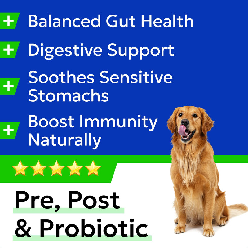 BARK&SPARK Advanced Dog Probiotics for Gut Health - Pre, Post & Probiotic Treats - Dogs Digestive Health Sensitive Tums Support - All Breeds & Ages - Probiotics for Dogs (180 Ct) 180Ct Probiotic Treats
