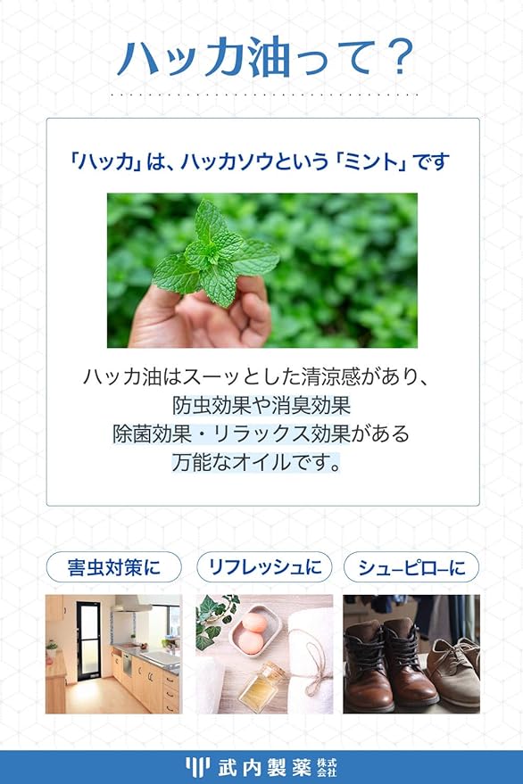 Takeuchi Pharmaceutical Peppermint Oil, 0.7 fl oz (20 ml), Natural Bath, Insect Repellent, Aromatherapy, Convenient Dripping Type, Small Fly Bay, Kamemushi & Hakka Oil - BeesActive Australia