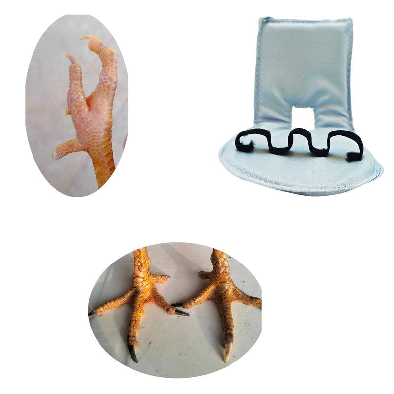 2 Pack Chicken Leg Splint with Toe Separator for Hen Roosters Duck Broken Leg Chicken Foot Splint for Curled Toes Duck Leg Splint Poultry Leg Brace - BeesActive Australia