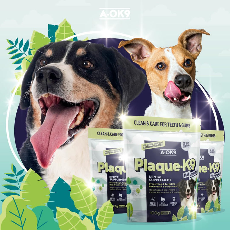 Plaque-K9 | Dental Care Supplement for Dogs | Removes Plaque, Bad Breath & Tartar | Support Oral Hygiene | Natural Ingredients & Superfoods | Mix with Dog or Puppy Food | Absolute Dogs 1 pouch
