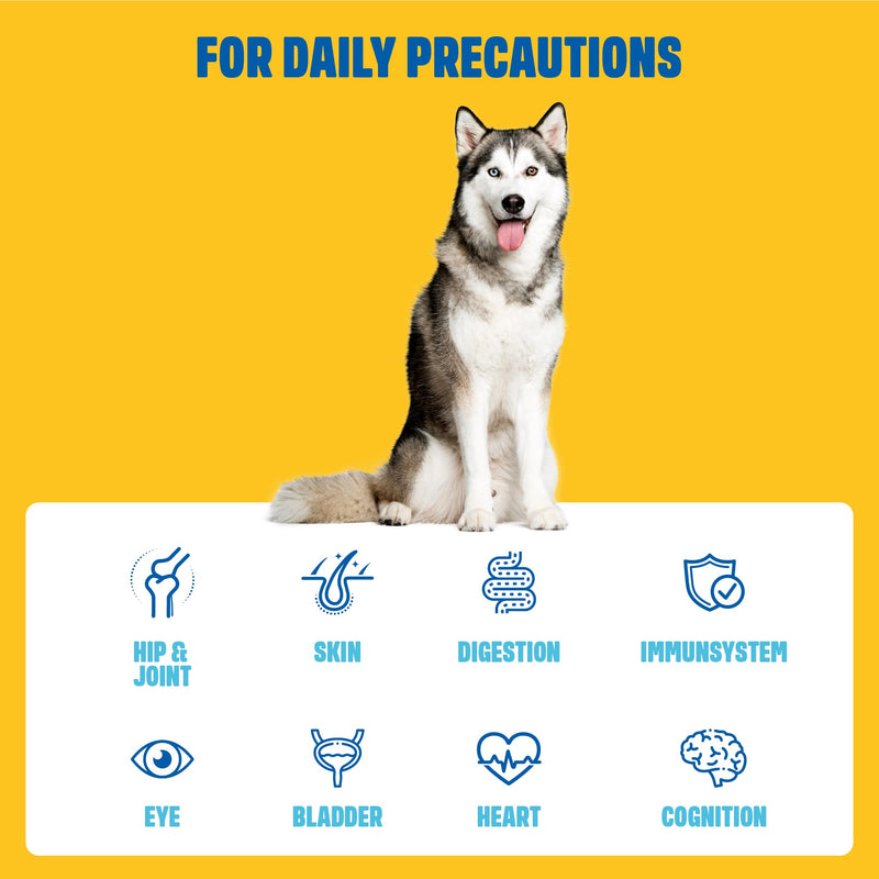 ivvi Multivita food supplements for dogs as snacks - All-round care for a happy dog's life - 60 tasty snacks (270g) with chicken