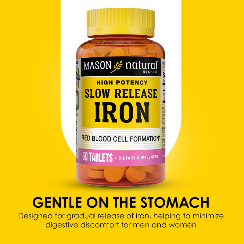 Mason Natural Slow,Release Iron (Ferrous Sulfate) 50 mg Tablets, 180 Day Supply, High Potency Supplement, Gentle on Stomach, 3 Pack Unflavored 60 Count (Pack of 3)