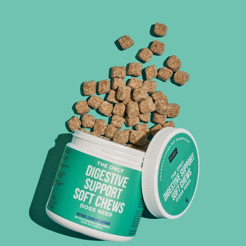 Natural Rapport Dog Digestive Supplement - The Only Digestive Support Soft Chews Dogs Need - 120ct Treats that Contain Probiotics and Enzymes to Support Digestion and Gut Health Digestive Chew