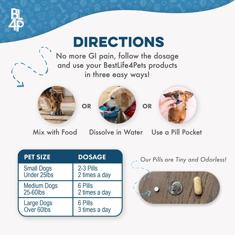 Hepatic Liver Support for Dogs, Dissolvable Homeopathic Digestive Canine Supplement for Liver Detox and Nutrient Absorption, 100% All Natural, Easy to Give, Free of Chemicals or Additives, 400 Pills - PawsPlanet Australia