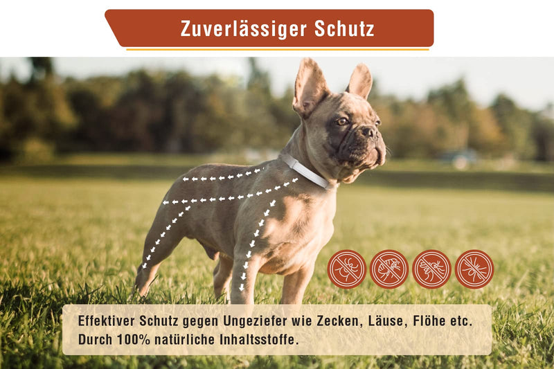 Animal Vita® tick collar for small dogs - 100% natural ingredients - reliable tick protection for up to 8 months - BeesActive Australia