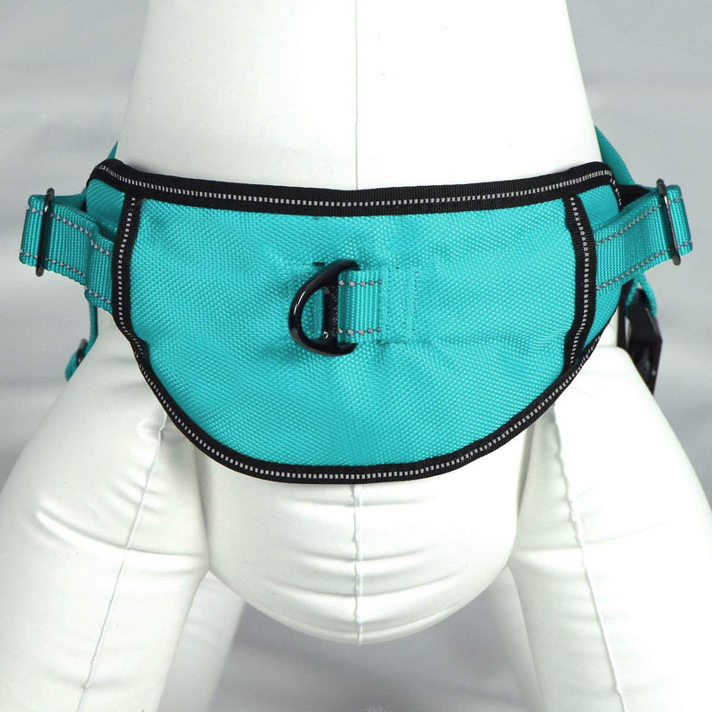 Max and Neo Passport Reflective Dog Harness - We Donate a Harness to a Dog Rescue for Every Harness Sold (Large (23"-30" Chest Girth), Teal) LARGE (23"-30" CHEST GIRTH) - BeesActive Australia