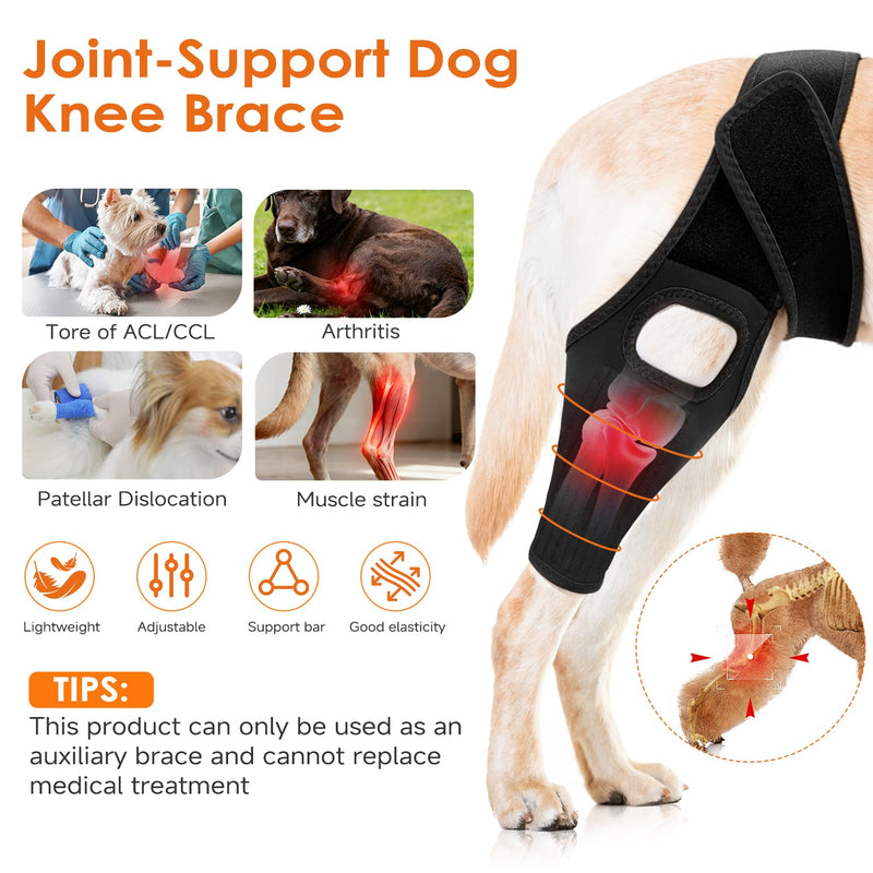 Jorme Dog Knee Brace for Torn ACL, Dog Leg Brace for Post-Surgery Recovery, Arthritis & Luxating Patella,Side Stabilizers, Breathable Neoprene, Adjustable Velcro & Belly Band,Front/Rear Legs (M) M