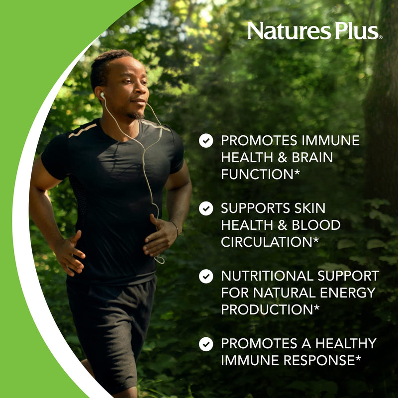 NaturesPlus Niacinamide - 500 mg, 90 Tablets - High Potency Vitamin B3 Supplement - Vegetarian, Gluten Free - 90 Servings 1 Count (Pack of 90)