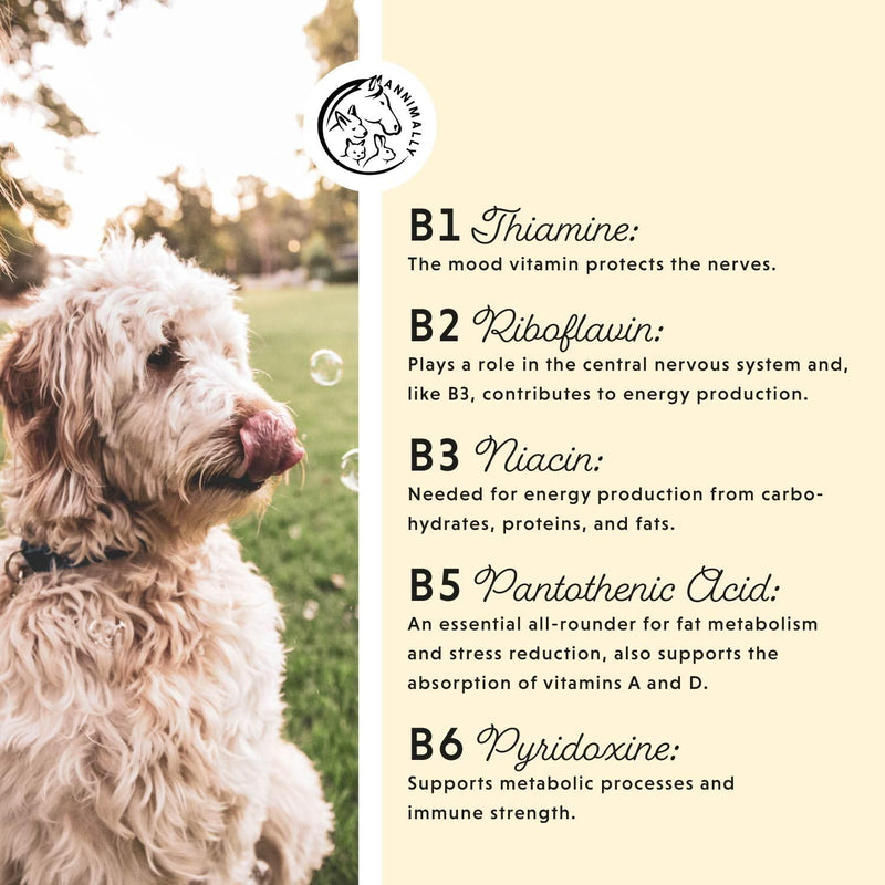 Annimally Vitamin B Complex for Dogs & Cats Tablets 120 pcs. - Daily Supplement with Folic Acid, Vitamin K, L-Tryptophan & Brewer’s Yeast, Made in Germany