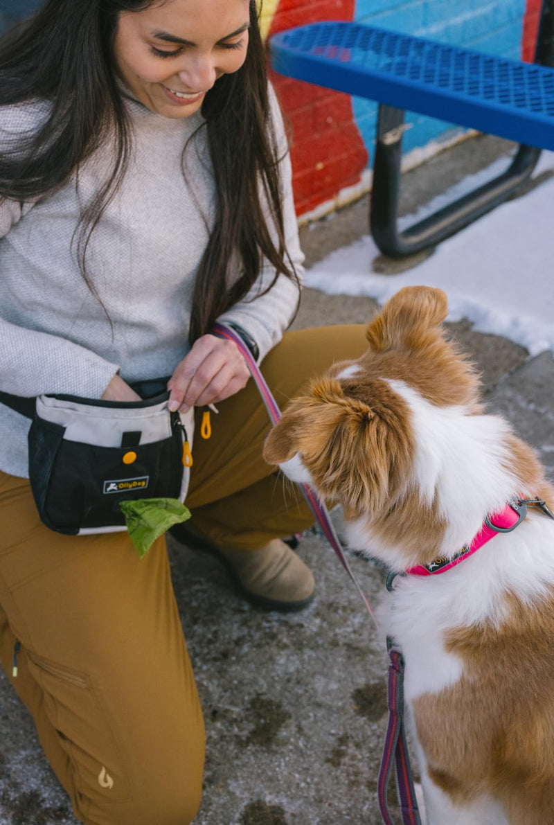 OllyDog Backcountry Day Bag, Fanny Pack, Dog Treat Pouch, Hands-Free for Training, Hip Pack with Built-in Poop Bag Dispenser, Removable Waist Belt Clip (Bluff) Bluff - BeesActive Australia