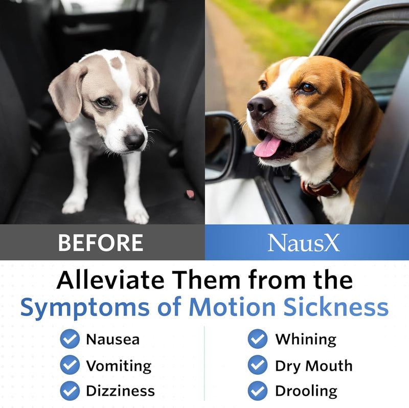 Anti-Motion Sickness & Relief for Dogs, MEDIUM 16 - 50lbs Medium Breed Dogs - BeesActive Australia