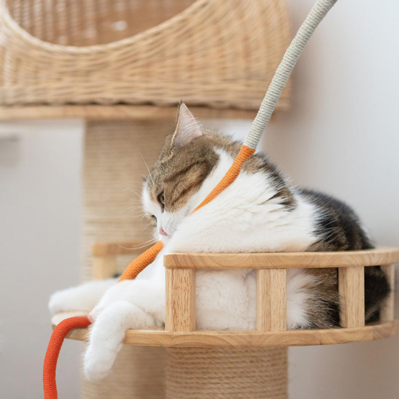 Quacc 4 PCS Cat Chew Toy Bite Ropes with Natural Gall Fruit, Colorful Kitten Chew Rope Interactive Cat Toy Sturdy Chewing Ropes for Cat Teeth Cleaning Stress Release - 27.6" - BeesActive Australia