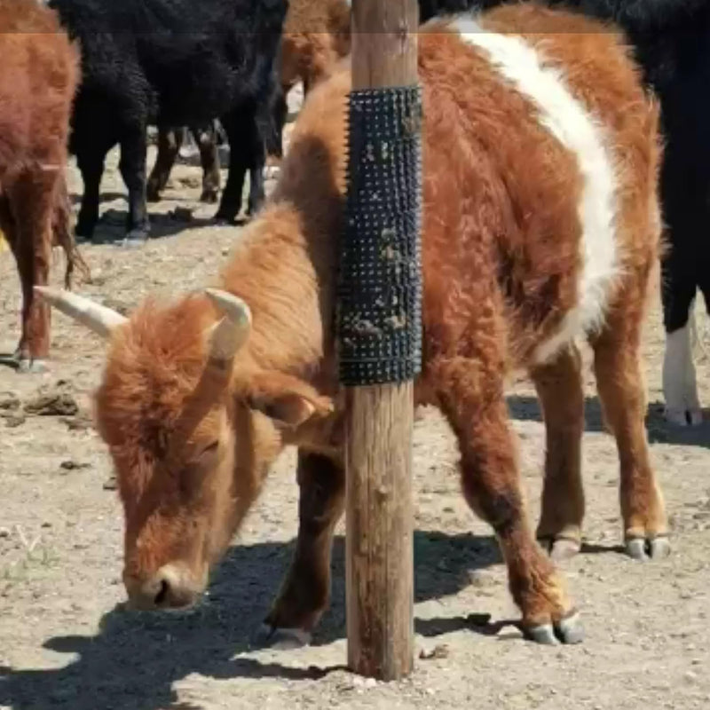 Cattle Scratcher - Livestock Scratching Brush | Horse Brushes Animal Scratch Itch Relief | Cattle Soft Touch Itch Post Pad For Livestock, Horse Grooming, Cattle, Sheep（33.8x42cm） - BeesActive Australia