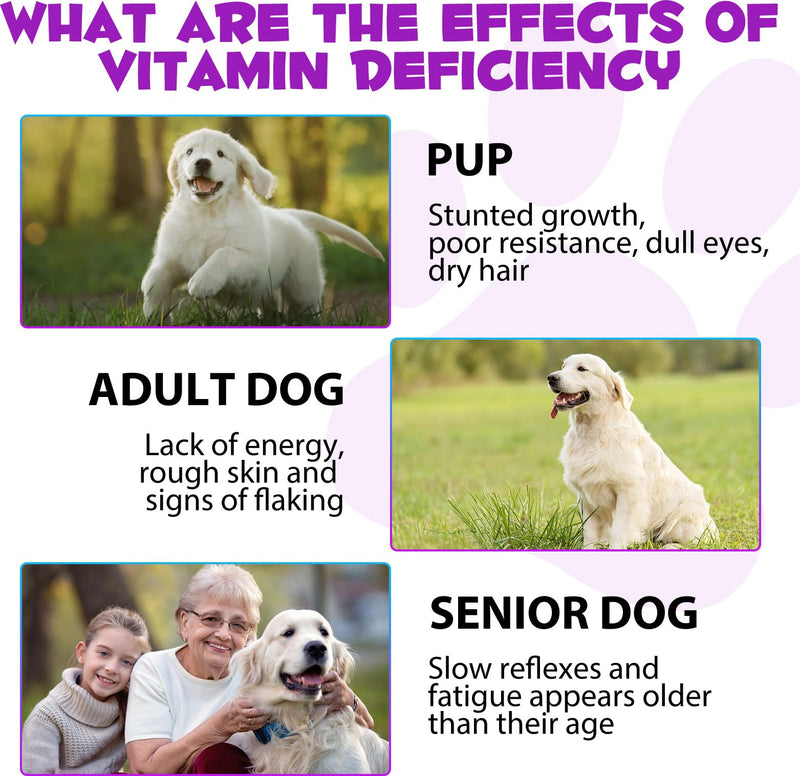 Dog Multivitamin Drops 15 in 1 Dog Vitamins & Supplements for Improving Hip, Joint, Skin Coat, Skin Health, Gut Health and Heart Health Digestion For Dog