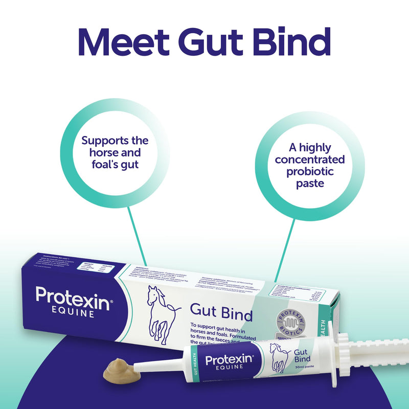 Protexin Equine Gut Bind, 30ml – Advanced Digestive Support for Horses – Promotes Healthy Gut Flora, Fibre Digestion, and Nutrient Absorption Regular
