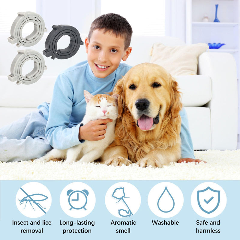 Flea collar for cats, 3 pieces flea collar for dogs, small, tick flea protection collar, tick collar for cats, tick flea collar for cats, flea tick collar for dogs and cats, waterproof and adjustable - BeesActive Australia