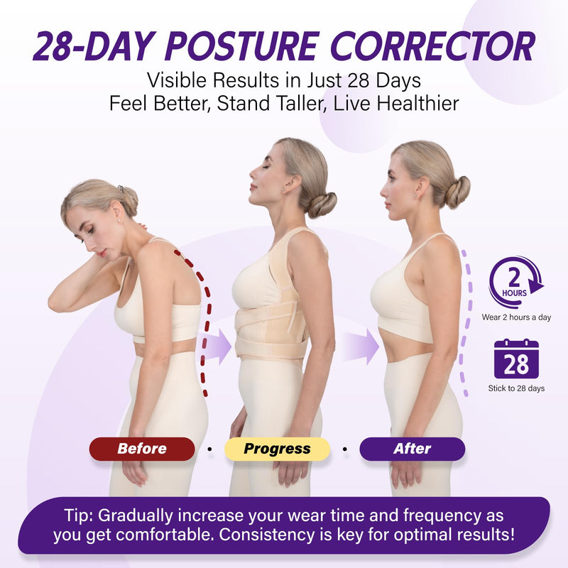 Back Brace Posture Corrector for Women & Men, Adjustable Full Back Support, Shoulder Straightener for Upper & Lower Back Pain Relief-Scoliosis, Hunchback, Waist Trainer (Medium, Beige) Medium - BeesActive Australia