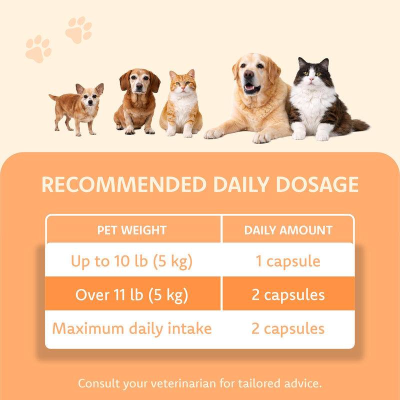 LOVITA Pets Senior Wellness Capsules for Dogs & Cats, with NMN, Resveratrol, Taurine, and PRALISUR Beta-Glucan, Daily Nutritional Support for Aging Pets, 60 Capsules