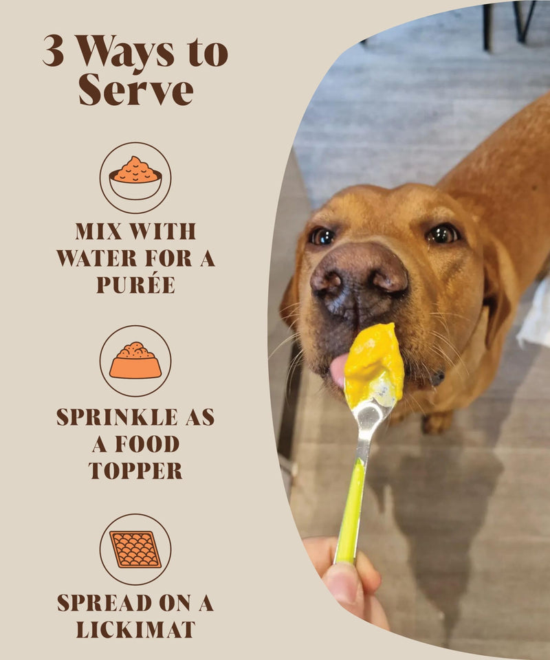 Pumpkin Powder for Dogs (225 grams) | Create Natural Pumpkin Purée | UK Canned Pumpkin Alternative | High Fibre Topper (30 Daily Servings) | Hackney Dog House