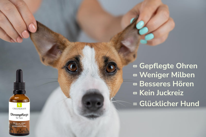 GREENDOOR Ear Care for Dogs, 100 ml, Natural Formulation with Urea and Lactic Acid, Glass Bottle with Glass Pipette, Acute Use and Permanent Care of the Ears