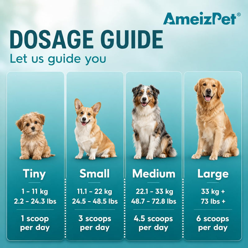 AmeizPet Pumpkin Powder For Dogs, To Create Pumpkin Puree, Fibre For Dogs Firm Stool, 100% Pumpkins Pulp Powder For Good Bowel Activity For Dog, Canned Pumpkins Alternative, 100g (3.5 Oz.) 100 g (Pack of 1)