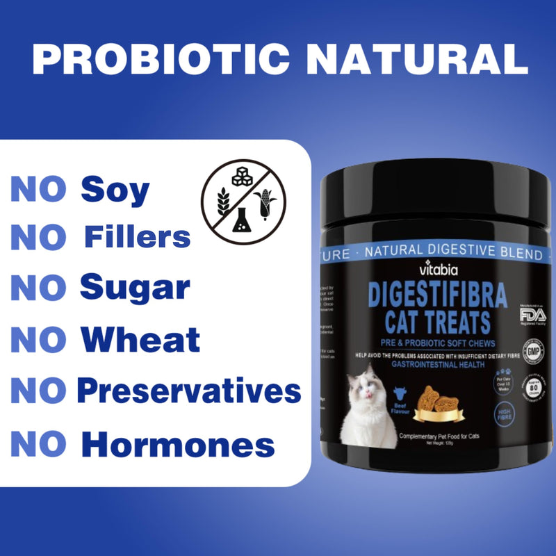 DigestiFibra Probiotics for Cats UK - Natural Digestive Care Chews with Prebiotic Fibre, Pumpkin for Gut Health, Firm Stools and Anal Gland Support (80 Count) 80 Count