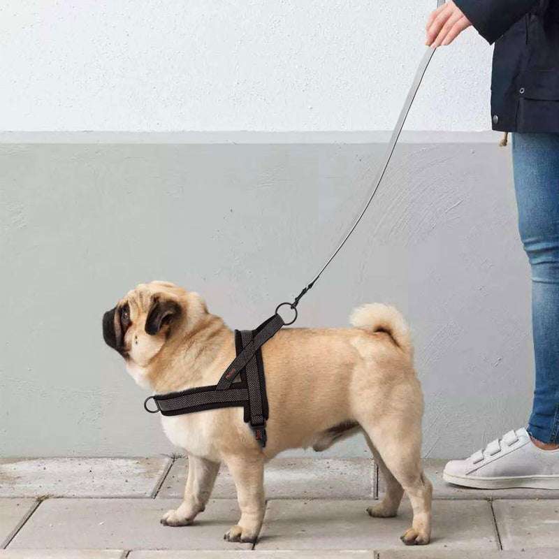 Didog No Pull Dog Harness with Breathable Mesh Padded, Full Reflective & Quick Fit Adjustable Vest Harness, Easy for Training Walking for Small & Medium and Large Dogs (Black, M) M:chest 21-26" Black - BeesActive Australia