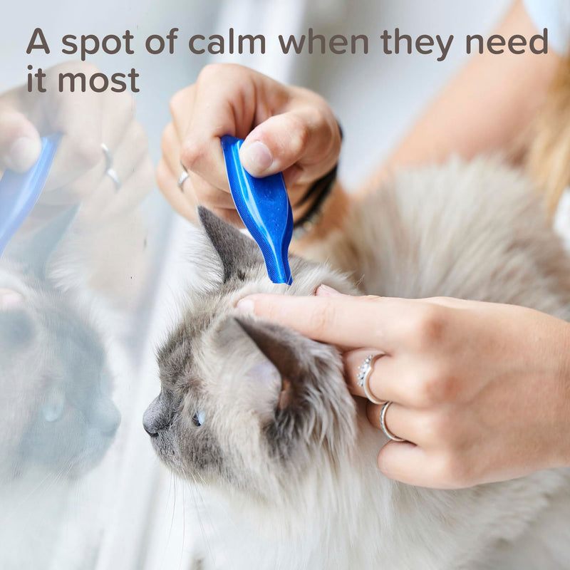 Beaphar - CatComfort® Calming Spot-On For Cats - Reduces Anxiety & Stress – Pheromone Calming - Fast-Acting - Starts Working in 15 Minutes - Ideal for Short-Term Events like Fireworks - 3 Pipettes
