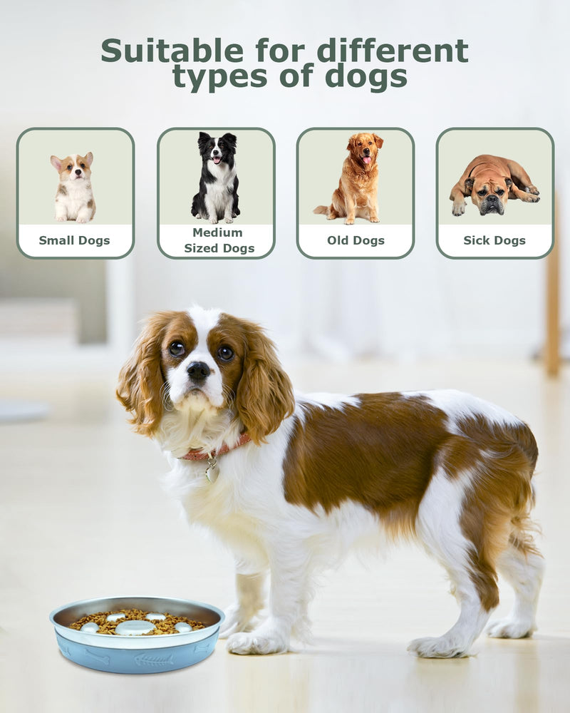 Slow Feeder Dog Bowl Stainless Steel,2-4 Cups Metal Dog Food Bowls with Non-Slip Silicone Mat,Slow Down Eating Pet Bowl for Small & Medium Sized Dogs - BeesActive Australia