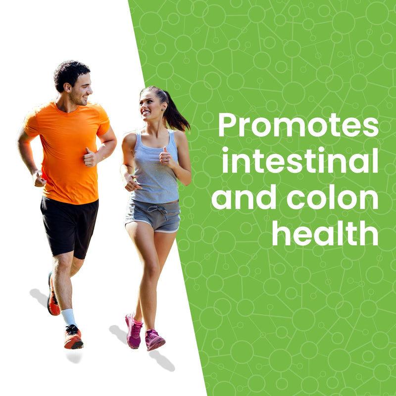 Lewis Labs Healthy Gut Prebiotic Fiber 6 Oz, Prebiotic Fiber with Probiotics, and Digestive Enzymes, Gut Prebiotic Fiber, Keto Friendly, Gluten Free, No MSG, Vegan Healthy Gut